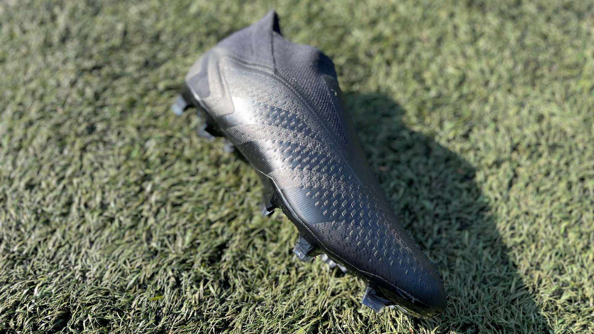 严密组织 严密组织