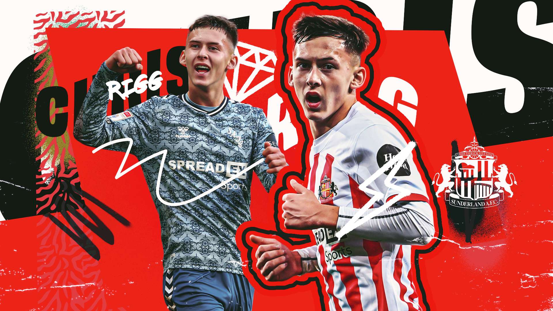 拥有丰富比 拥有丰富比