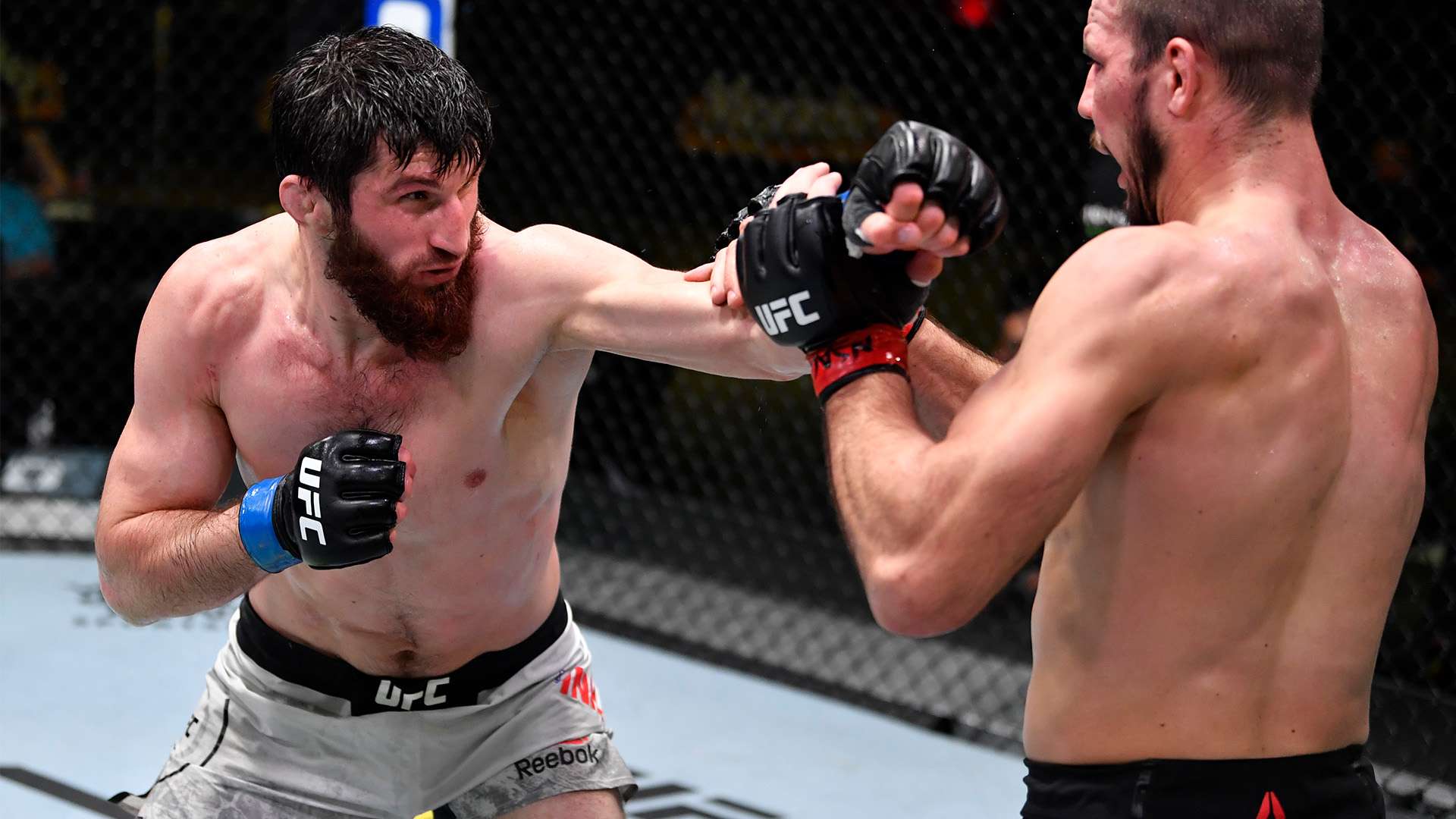 帕尔默追平 帕尔默追平