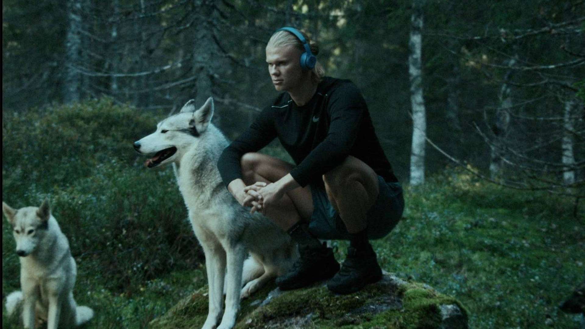 而福克斯這 而福克斯這